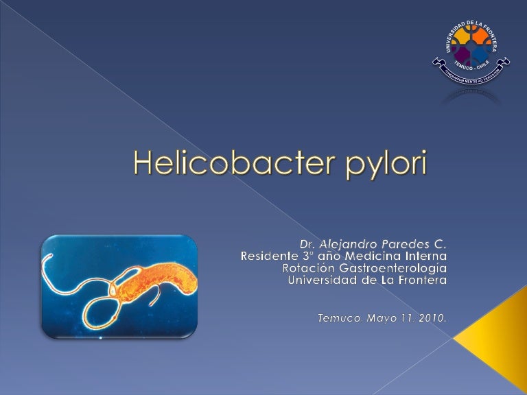que es una bacteria helicobacter pylori que es una bacteria helicobacter pylori